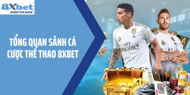 Tổng quan sảnh cá cược thể thao 8XBET