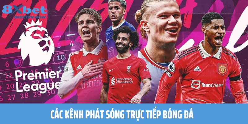 Các Kênh Phát Sóng Trực Tiếp Bóng Đá